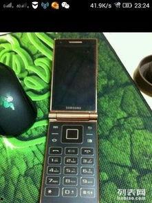 国产w,引领科技潮流的创新力量